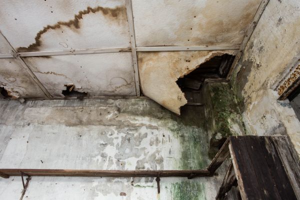 Water Damage Service in Saginaw