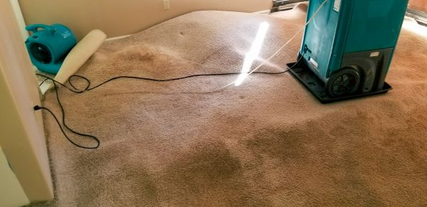 Flood Damage Cleanup in Saginaw