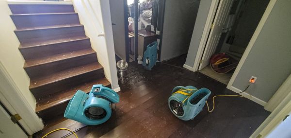Water Damage Remediation in Saginaw