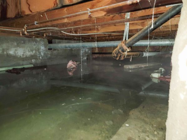 Water Mitigation Service in Saginaw