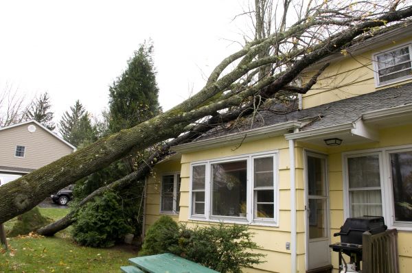 Hurricane Damage Repair in Saginaw